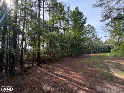 Hunting Property for sale in Geneva County, Alabama