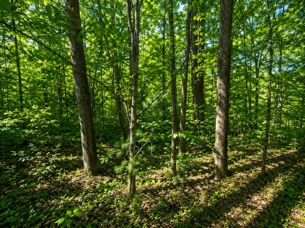 Farm and Ranch for sale in Carter County, Tennessee