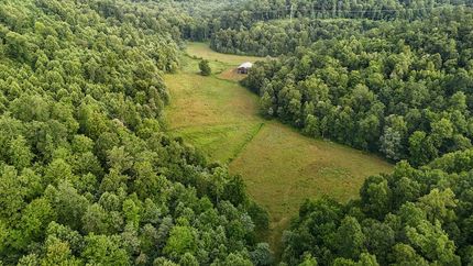 Timberland Property for sale in Lewis County, Kentucky