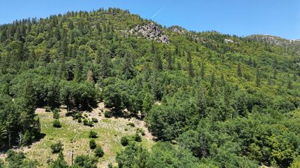 Farm and Ranch for sale in Sierra County, California