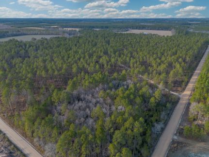 Recreational Property for sale in Wayne County, Georgia