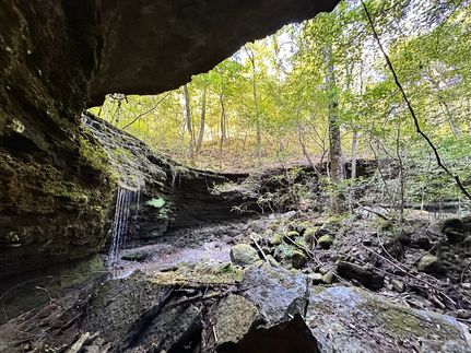 Timberland Property for sale in Van Buren County, Arkansas