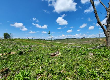 Commercial Property for sale in Clay County, Alabama