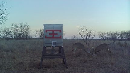 Farm and Ranch for sale in Kent County, Texas