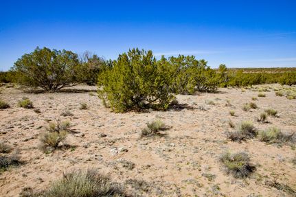 Farm and Ranch for sale in Apache County, Arizona