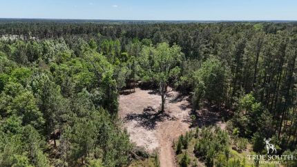 Timberland Property for sale in Hampton County, South Carolina