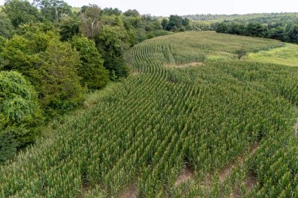 Recreational Property for sale in Union County, Illinois