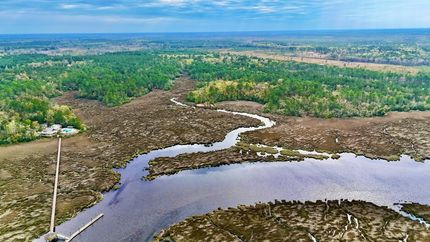 Timberland Property for sale in Camden County, Georgia