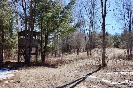 Recreational Property for sale in Osceola County, Michigan