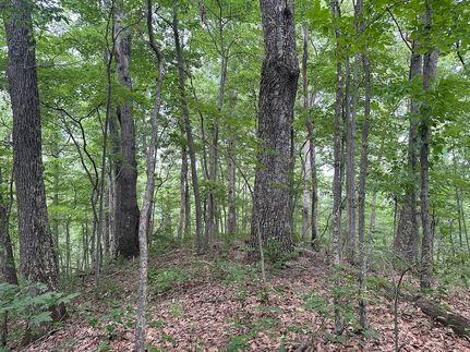 Land for sale in Wayne County, West Virginia