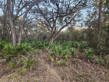 Farm and Ranch for sale in Hernando County, Florida
