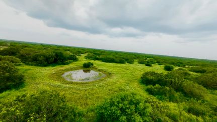 Land for sale in Duval County, Texas