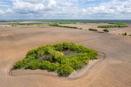 Undeveloped Land for sale in Coleman County, Texas