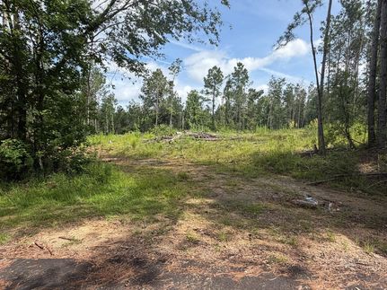 Farm and Ranch for sale in Lincoln County, Mississippi