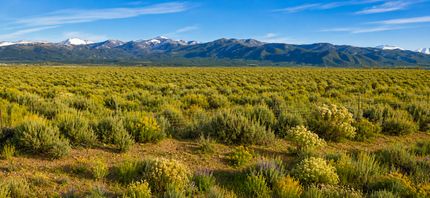 Farm and Ranch for sale in Costilla County, Colorado