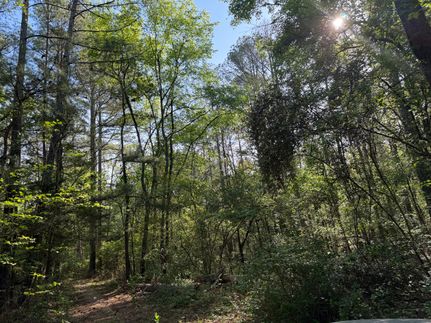 Timberland Property for sale in Bartow County, Georgia