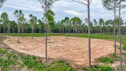 Land for sale in Oglethorpe County, Georgia