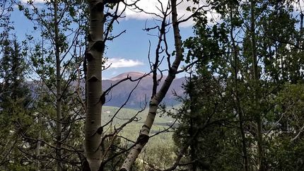 Farm and Ranch for sale in Teller County, Colorado