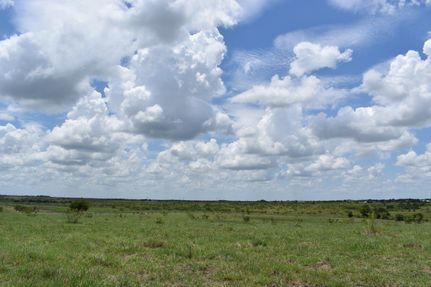 Land for sale in Milam County, Texas