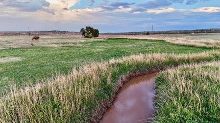 Farm and Ranch for sale in Oldham County, Texas