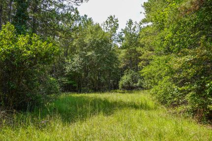 Undeveloped Land for sale in Hardin County, Texas