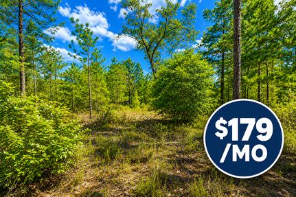 Recreational Property for sale in Putnam County, Florida