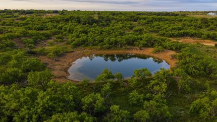 Timberland Property for sale in Stephens County, Texas