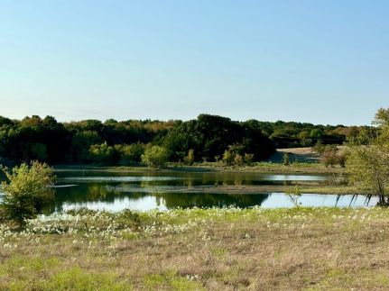Land for sale in Fannin County, Texas
