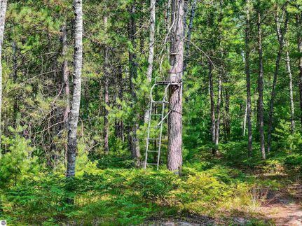 Hunting Property for sale in Missaukee County, Michigan