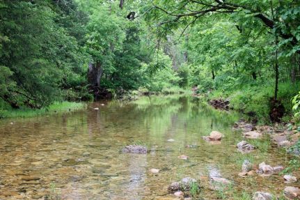 Undeveloped Land for sale in Baxter County, Arkansas