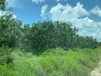Timberland Property for sale in Duval County, Texas