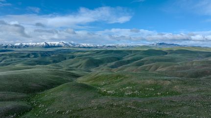 Undeveloped Land for sale in Malheur County, Oregon