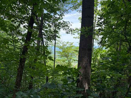 Recreational Property for sale in Jackson County, Alabama