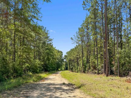 Land for sale in Newton County, Texas