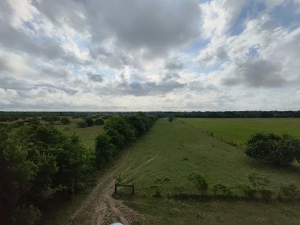 Timberland Property for sale in Grimes County, Texas