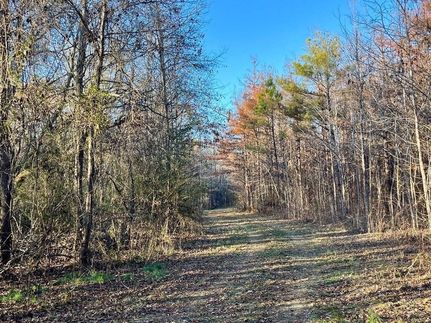 Land for sale in West Carroll Parish, Louisiana