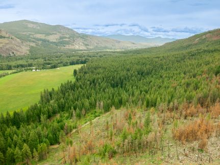 Land for sale in Okanogan County, Washington