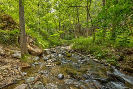 Farm and Ranch for sale in Placer County, California