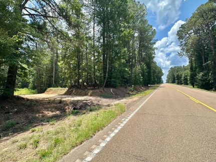 Land for sale in Leake County, Mississippi