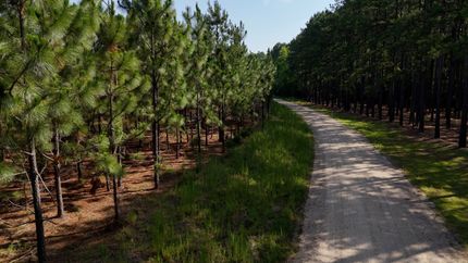 Farm and Ranch for sale in Chesterfield County, South Carolina