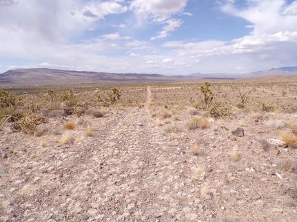 Timberland Property for sale in Mohave County, Arizona