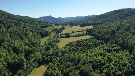 Land for sale in Greene County, Tennessee