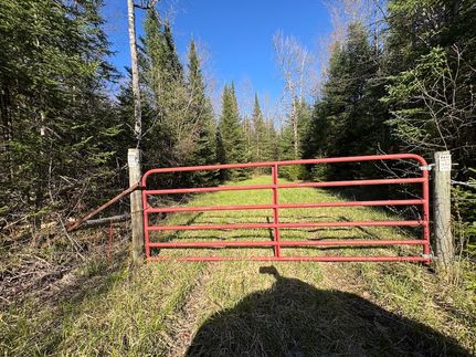 Timberland Property for sale in Gladwin County, Michigan