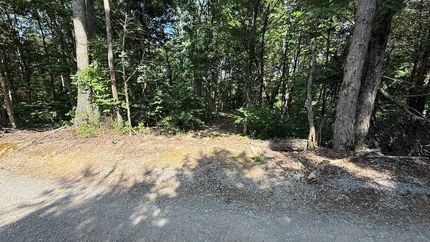 Timberland Property for sale in Cumberland County, Kentucky