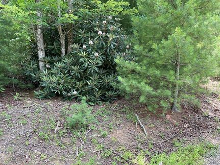 Farm and Ranch for sale in Carroll County, Virginia