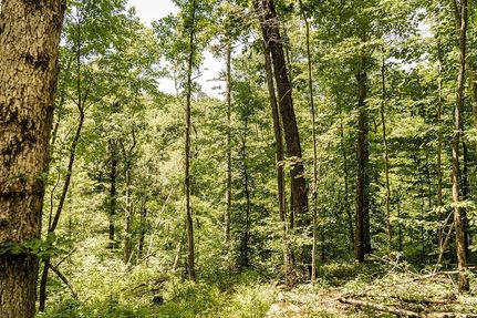 Land for sale in Rowan County, Kentucky
