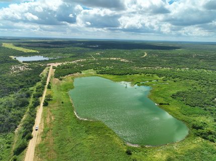 Farm and Ranch for sale in Dimmit County, Texas