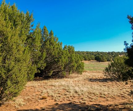 Recreational Property in Apache County, Arizona