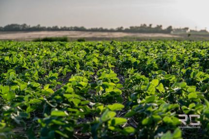 Farm and Ranch for sale in Reno County, Kansas