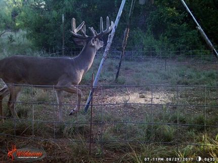 Farm and Ranch for sale in Young County, Texas